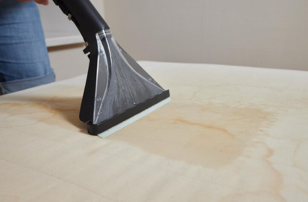 Cleaning services | Carpet Cleaning by Clover